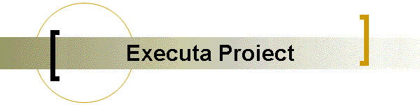 Executa Proiect